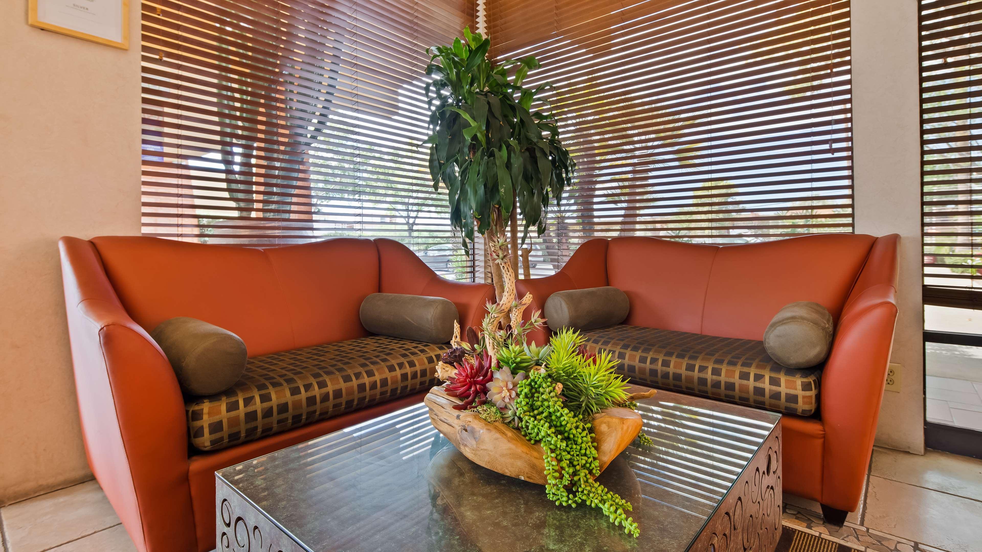 טוסון Best Western Royal Sun Inn & Suites מראה חיצוני תמונה