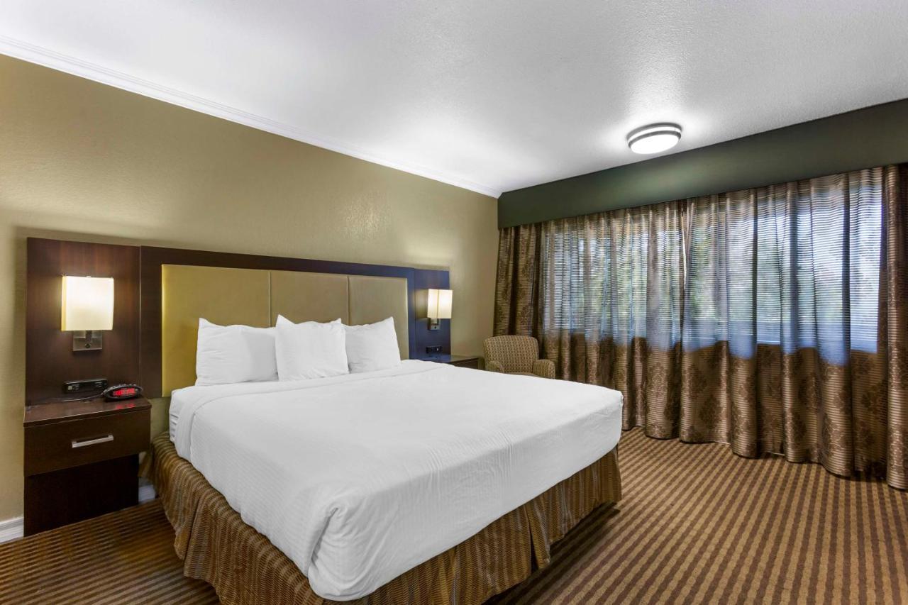 טוסון Best Western Royal Sun Inn & Suites מראה חיצוני תמונה